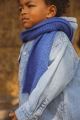 SCARFGUSTAVECOBALTBLUE4_900x.webp