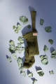 Copy-of-Grannys_green_04.webp
